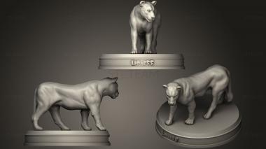 3D model Lioness (STL)